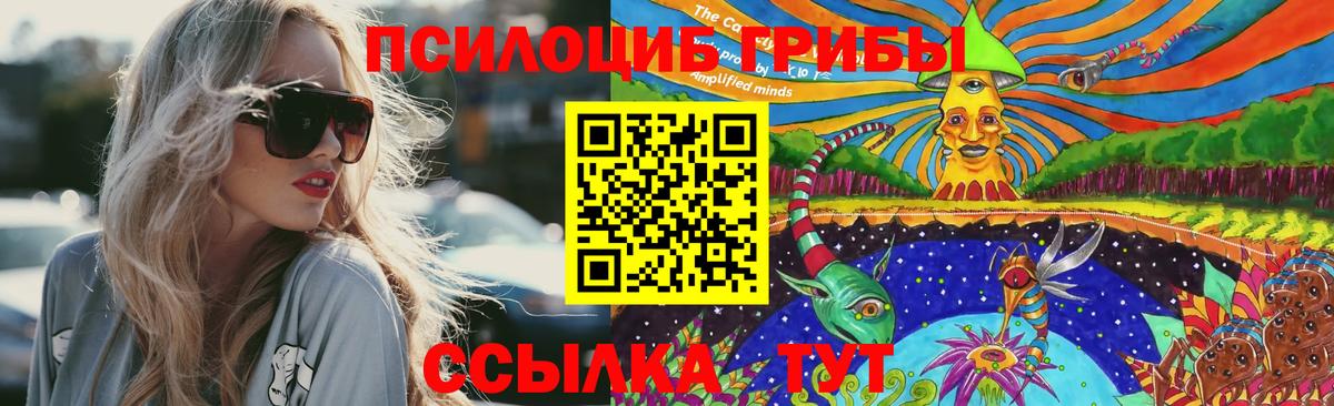 Галлюциногенные грибы Psilocybe  Вход с VPN  Мытищи 
